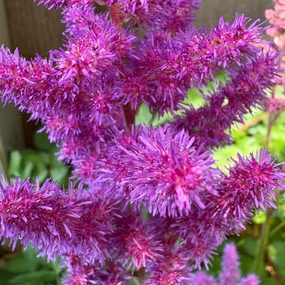 Authentic High Quality Designer Jewelry - Picture 2 of 2